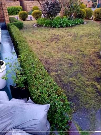Lawn and hedge care